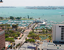 aerial small