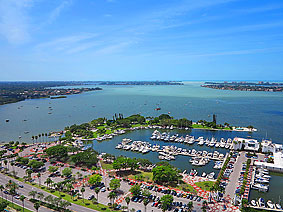 From 195 Feet